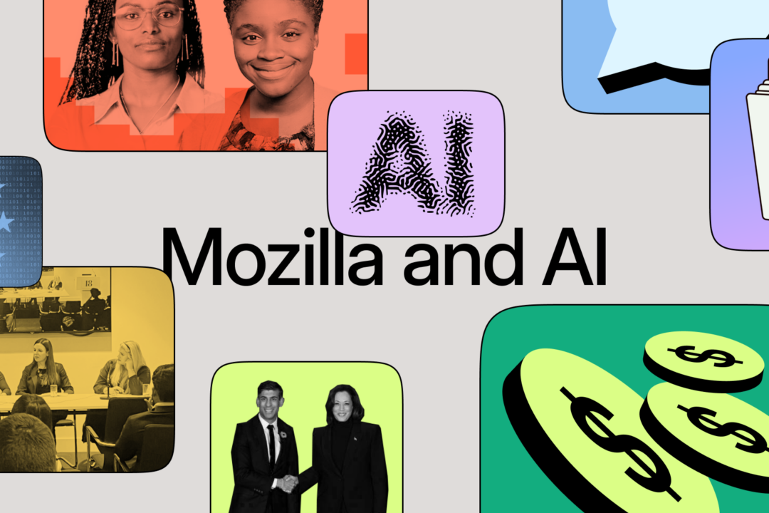 2024 /2025 Mozilla Technology Fund Applications